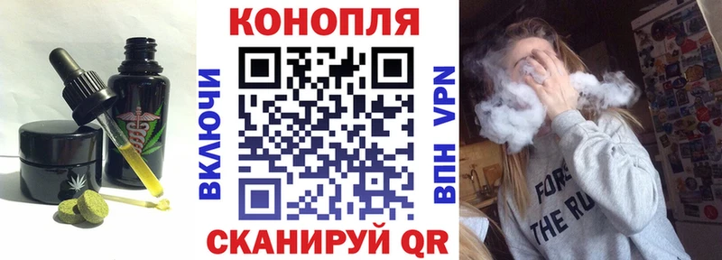 где можно купить   Шахунья  Canna-Cookies конопля 