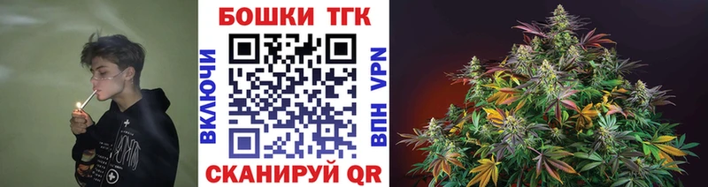 Конопля сатива  Шахунья 